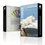 Planification Agile Poker Cartes